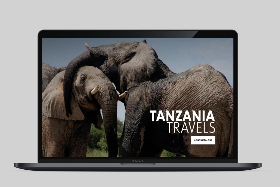 Tanzania Travels